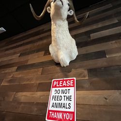 J & L BBQ - This was positioned above me during my meal. Ha ha
