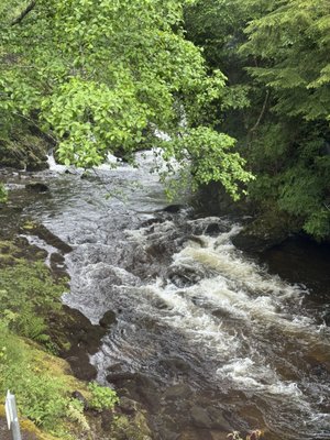 Tongass Historical Museum by null