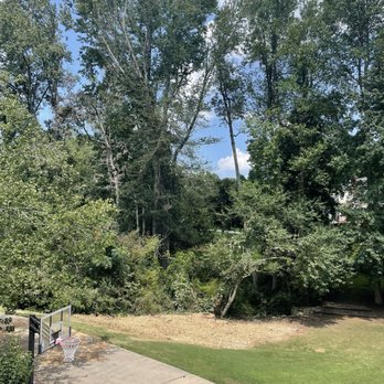 AllGreen Tree Services - After - Tree Services Near Me AllGreen Tree Services - After - Tree Services Near Me