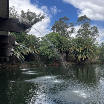Anthony's Fish Grotto - View from patio - Seafood Near Me - La Mesa, California