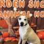Photo of Arden Shoreview Animal Hospital