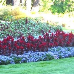 Horizon Nurseries & Landscaping