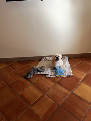 Stagecoach Inn by null