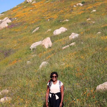 Box Springs Mountain Reserve - Not all those who wonder are lost! - Hiking Near Me - Moreno Valley, California Box Springs Mountain Reserve - Not all those who wonder are lost! - Hiking Near Me - Moreno Valley, California