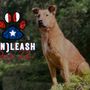 Photo of UnLeash Puerto Rico
