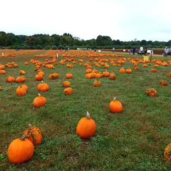 Eastmont Orchards - Pick Your Own Farms Near Me - Colts Neck, New Jersey