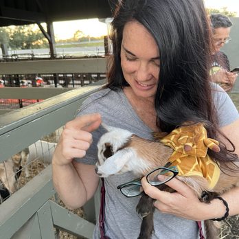 Alaska Farms - A baby goat in a giraffe costume - Yoga Near Me - Orlando, Florida Alaska Farms - A baby goat in a giraffe costume - Yoga Near Me - Orlando, Florida