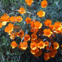 Springtime! Springtime!