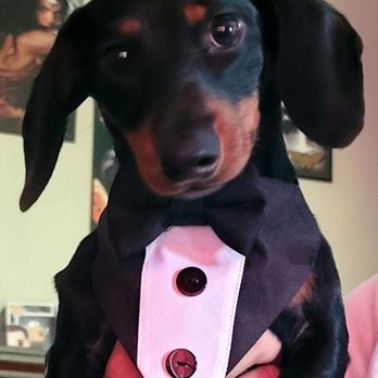 Warren Evans - Best Man - Notaries Near Me Warren Evans - Best Man - Notaries Near Me