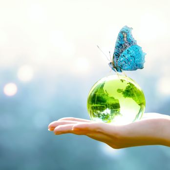 Glint Global Services - Happy Earth Day! Celebrate with a Weekly Eco-Friendly Cleaning Plan - Home Cleaning Near Me