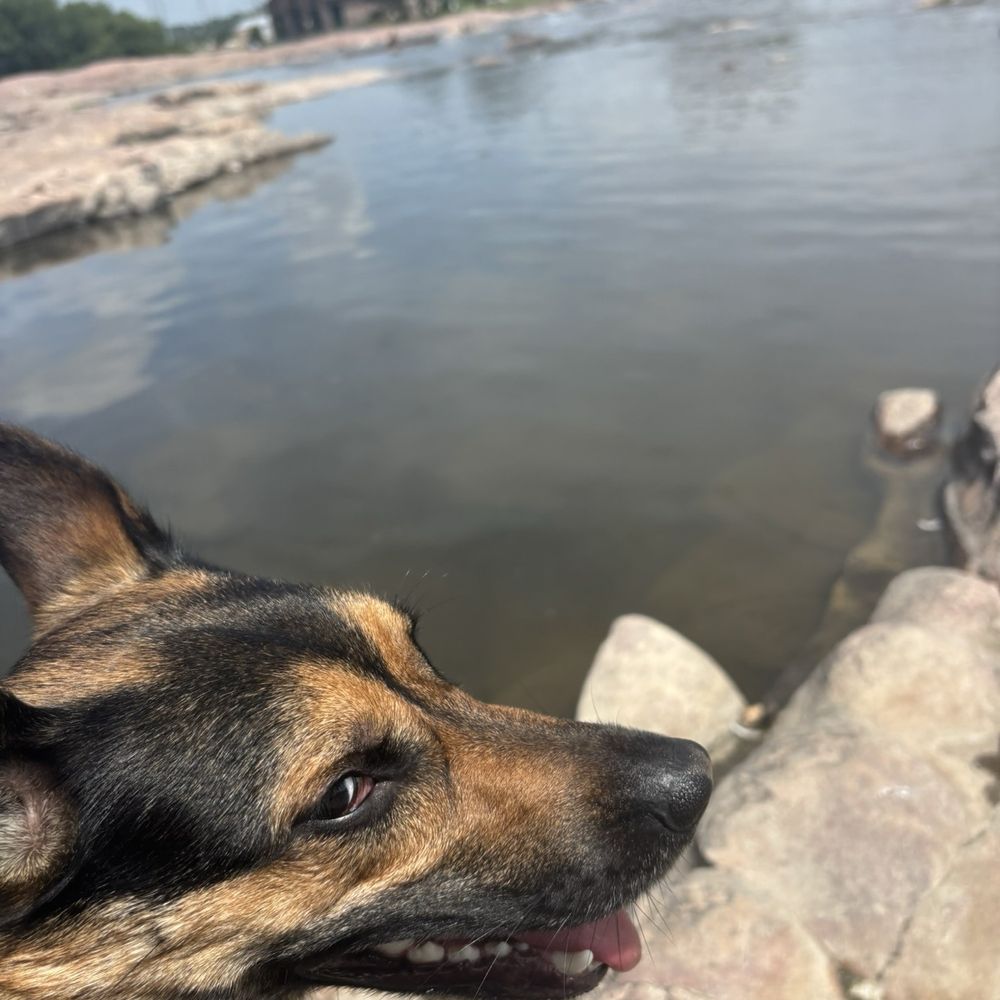 Falls Park - Parks Near Me - Sioux Falls, South Dakota Falls Park - Parks Near Me - Sioux Falls, South Dakota