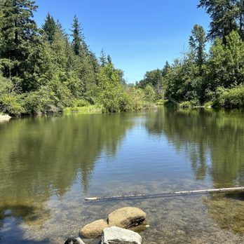Whatcom Falls Park - Dog Parks Near Me - Bellingham, Washington