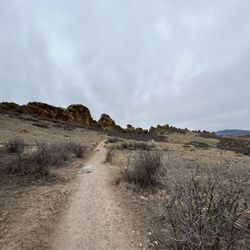 Devil's Backbone