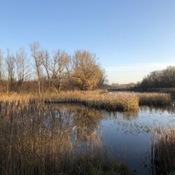 Nationalpark Donauaun