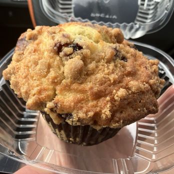 Cortado Cafe - Blueberry muffin - Coffee & Tea Near Me - Springfield, Virginia Cortado Cafe - Blueberry muffin - Coffee & Tea Near Me - Springfield, Virginia