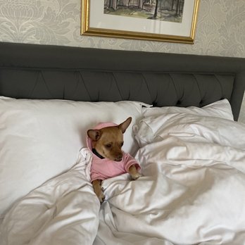 Hawthorne Hotel - The life ! - Hotels Near Me - Salem, Massachusetts