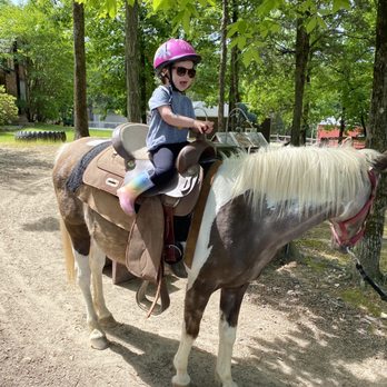 Darby Acres Farm - Horseback riding - Zoos Near Me - Charlotte, North Carolina