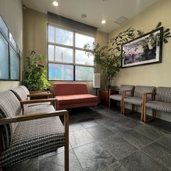 Kigawa Dental - Patient waiting room.