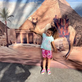 Mya's Farm - Amusement Parks Near Me - Miami, Florida Mya's Farm - Amusement Parks Near Me - Miami, Florida