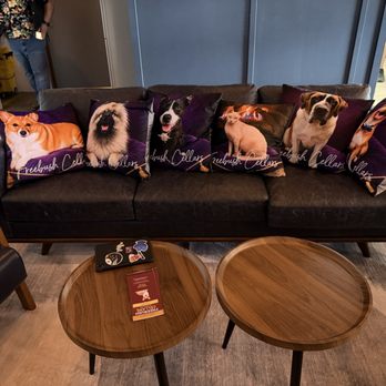 Freebush Cellars - Club members couch - Wine Tasting Room Near Me - Woodinville, Washington