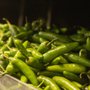 Photo of La Ranchera Meat Market
