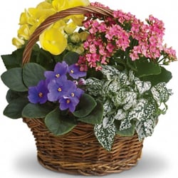 Okotoks Country Florist