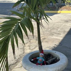 Chevron - Chippy the elf who lives in west palm beach in the summer