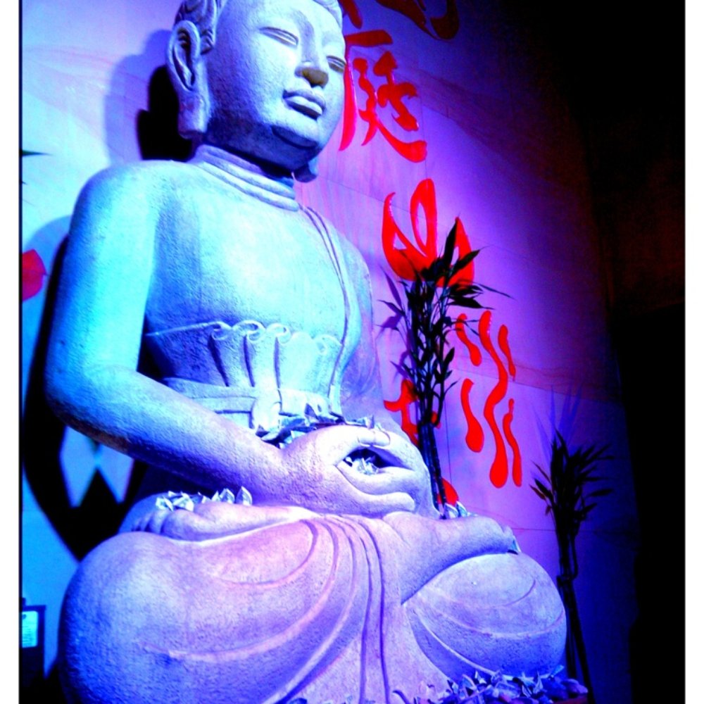 Buddha - Asian Fusion Near Me - Rye Brook, New York