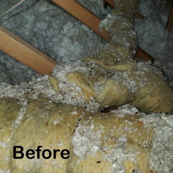 Attical Insulation and Rodents - Insulation Installation Near Me Attical Insulation and Rodents - Insulation Installation Near Me