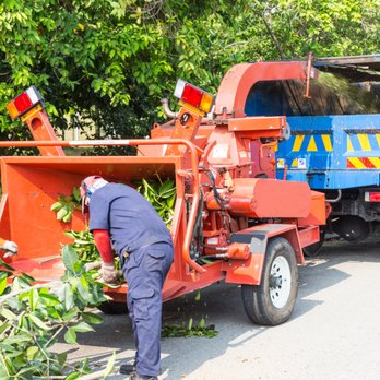 Paradise Landscaping & Tree Removal - Tree Care - Landscaping Near Me - Hamden, Connecticut Paradise Landscaping & Tree Removal - Tree Care - Landscaping Near Me - Hamden, Connecticut