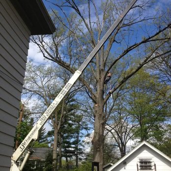 JJS Professional Tree Service & Stump Removal - Tree Services Near Me - Schenectady, New York JJS Professional Tree Service & Stump Removal - Tree Services Near Me - Schenectady, New York