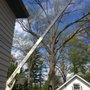 Photo of JJS Professional Tree Service & Stump Removal