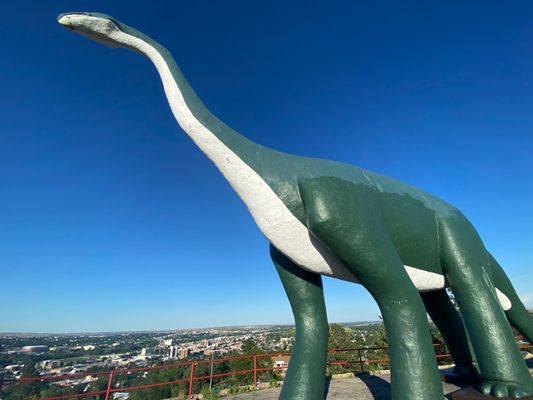 Dinosaur Park by null