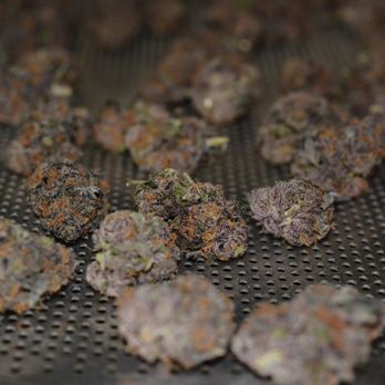 Nevada Made Marijuana - Kabunky flowers are grown and processed right here in Laughlin. - Cannabis Dispensaries Near Me - Laughlin, Nevada Nevada Made Marijuana - Kabunky flowers are grown and processed right here in Laughlin. - Cannabis Dispensaries Near Me - Laughlin, Nevada