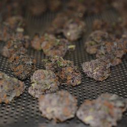 Nevada Made Marijuana - Kabunky flowers are grown and processed right here in Laughlin.