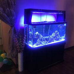 Happy Feet Spa