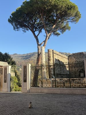 Villa Gregoriana by null