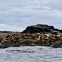 Photo of The West Coast Fishing Club