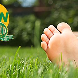 Bio Green Outdoor Services