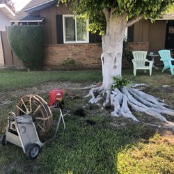 Garrett's Plumbing - Cleared roots from main line, no lining needed.