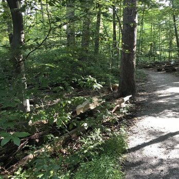 Greenwich Audubon Center - Birding - Community Service/Non-Profit Near Me - Greenwich, Connecticut