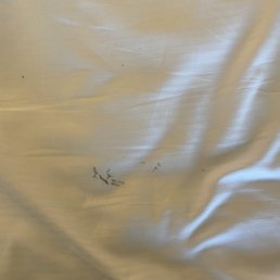 Stains on our sheets