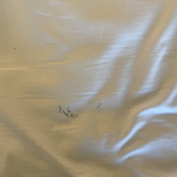 DoubleTree by Hilton Hotel Durango - Stains on our sheets - Hotels Near Me - Durango, Colorado