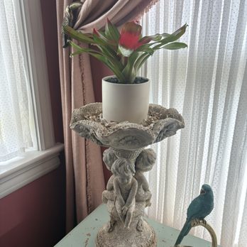 DIRT Flowers - Florists Near Me - Dallas, Texas