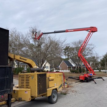 Settle Tree Service - a man on a cherry picker - Tree Services Near Me - Newport, North Carolina Settle Tree Service - a man on a cherry picker - Tree Services Near Me - Newport, North Carolina
