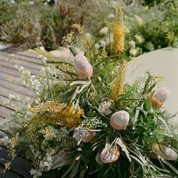 Amorology Weddings - Wedding Planning Near Me - San Marcos, California Amorology Weddings - Wedding Planning Near Me - San Marcos, California