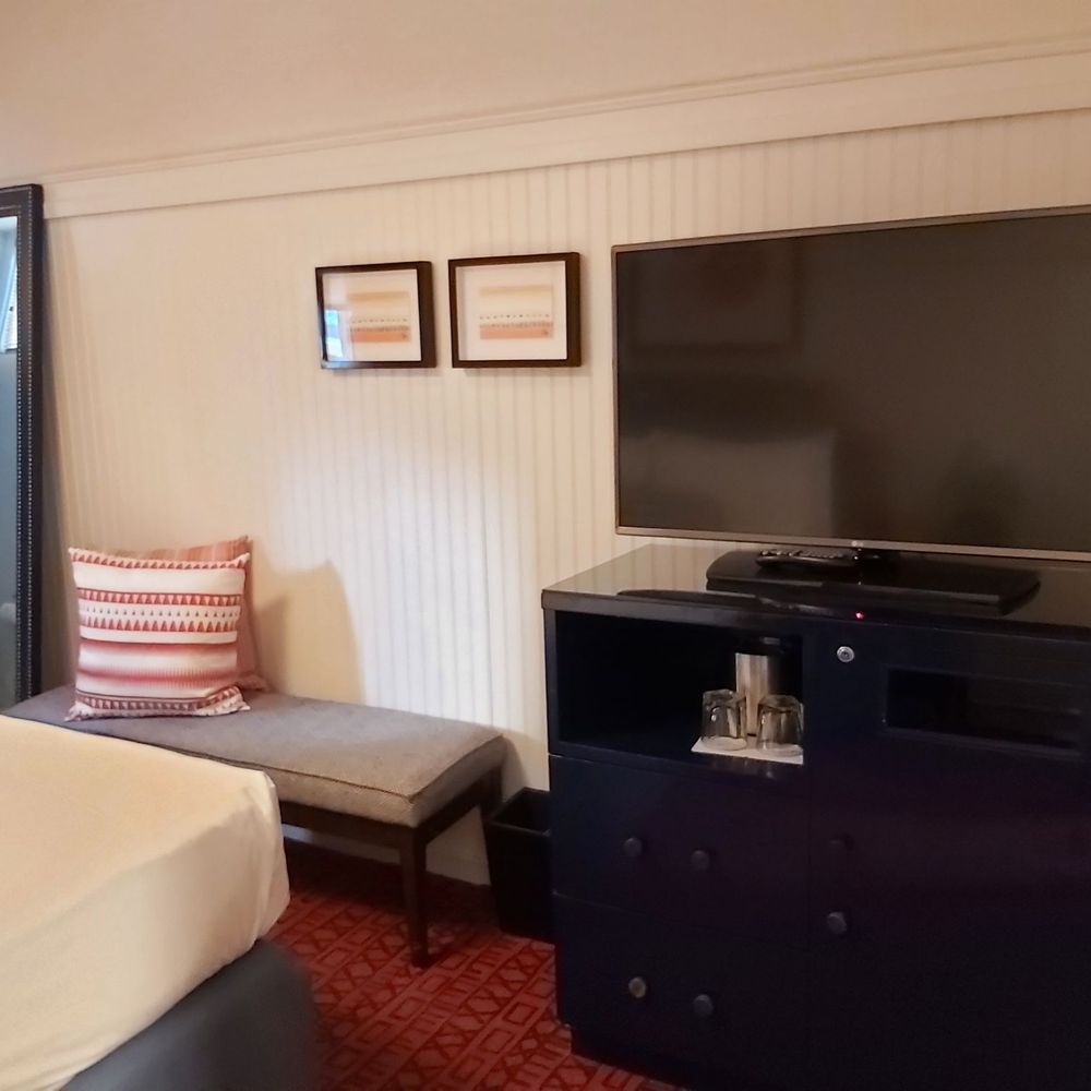 Hotel Triton - Room - Hotels Near Me - San Francisco, California Hotel Triton - Room - Hotels Near Me - San Francisco, California