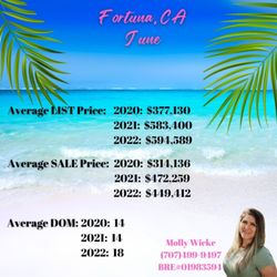 Molly Wicke - Landmark Real Estate - June YTD in Fortuna, CA