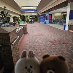 Colorado Springs Airport - COS - Walking to the gate...