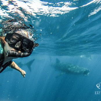 Kay Tours Mexico - Snorkeling Near Me - Playa del Carmen, ROO Kay Tours Mexico - Snorkeling Near Me - Playa del Carmen, ROO